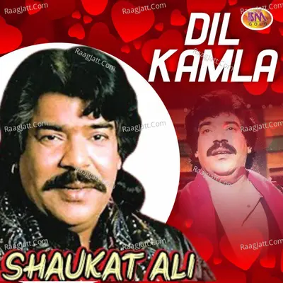 Dil Kamla Cover