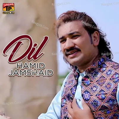 Hamid Jamshaid