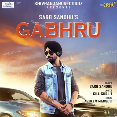 Sarb Sandhu Image