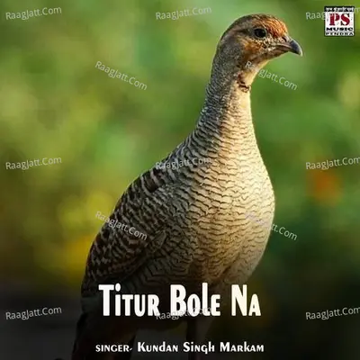 Titur Bole Na Cover