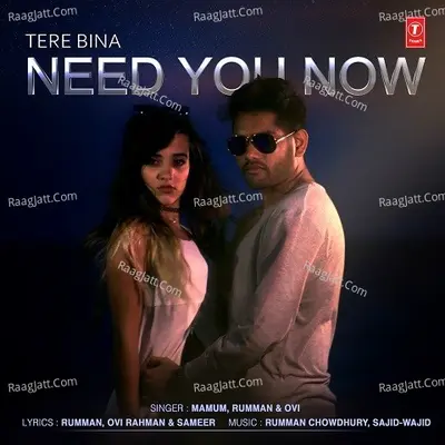 Tere Bina Need You Now Cover