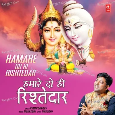 Hamare Do Hi Rishtedar Cover