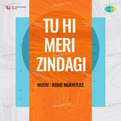 Tu Hi Meri Zindagi Poster