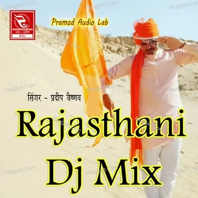 Rajasthani (DJ Mix) Poster