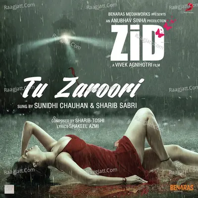 Tu Zaroori (From "Zid") Cover