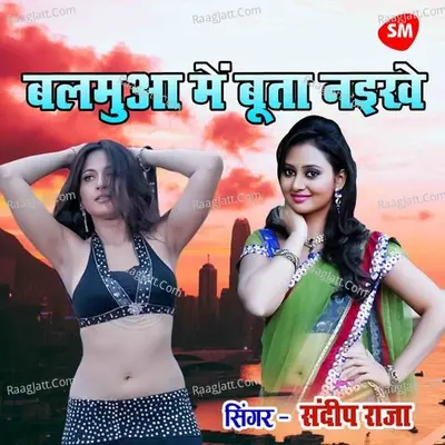 Sandeep Raja Image