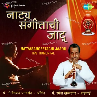 Natyasangeetachi Jaadu Instrumental - Govind Patwardhan