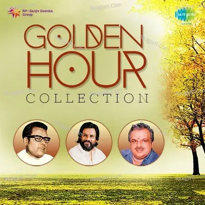 Golden Hour Collection Poster