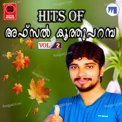 Hits Of Afsal Koothuparambu Vol 2 - Afsal Koothuparambu