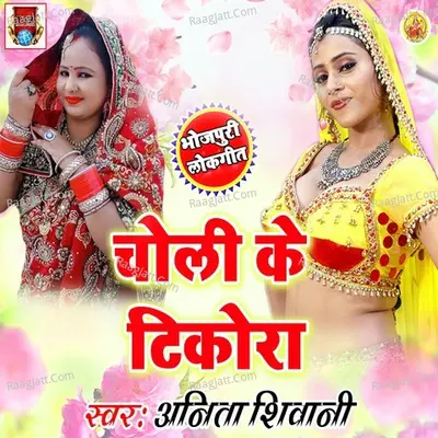 Choli Ke Tikora - Anita Shivani