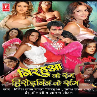 Nirhua Ke Rang Heroinin Ke Sang Poster