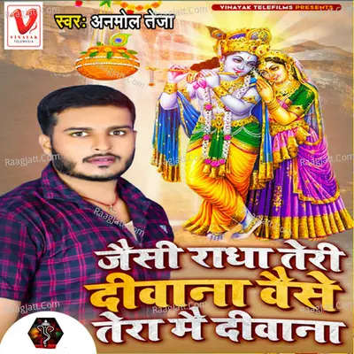 Jaisi Radha Teri Diwana Waise Tera Main Diwana Cover