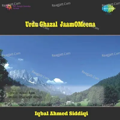 Urdu Ghazal - Jaam - O - Meena Poster