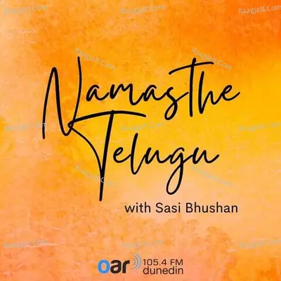 Namasthe Telugu - season - 1 - Sasi Bhushan