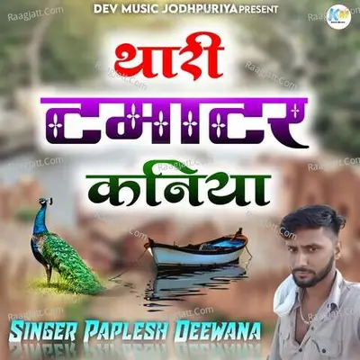 Thari Tamater Kaniya - Paplesh Deewana