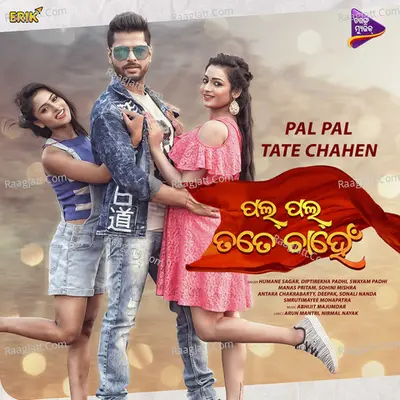 Pal Pal Tate Chahen Poster
