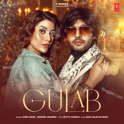 Vinu Gaur Image