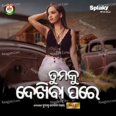 Tumaku Dekhiba Pare Vol 2 Poster