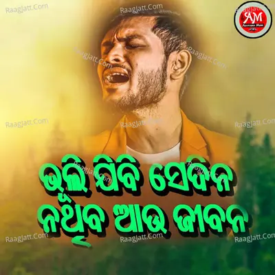 Bhulijibi Sedina Cover