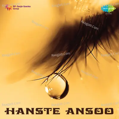 Hanste Ansoo Poster