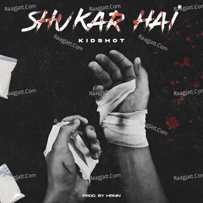 Shukar Hai Cover