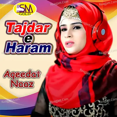 Tajdar E Haram Poster