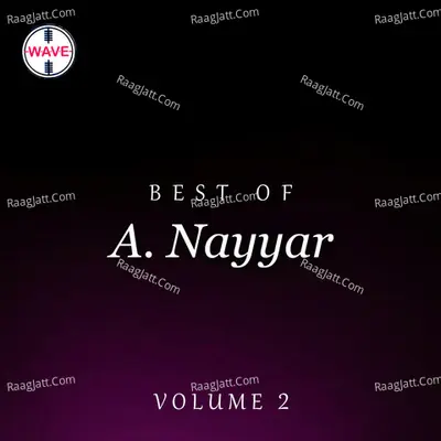 Best Of A. Nayyar, Vol. 2 Poster