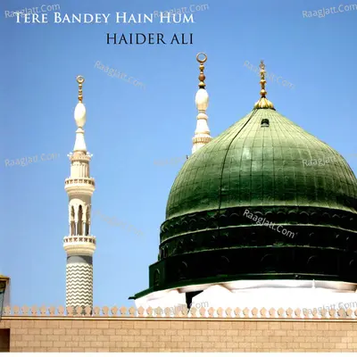 Tere Bandey Hain Hum Poster