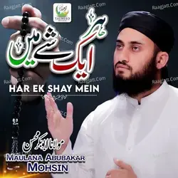 Maulana Abu Bakar Mohsin