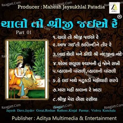 Chalo To Shreeji Jaie Re Pt.01 Poster