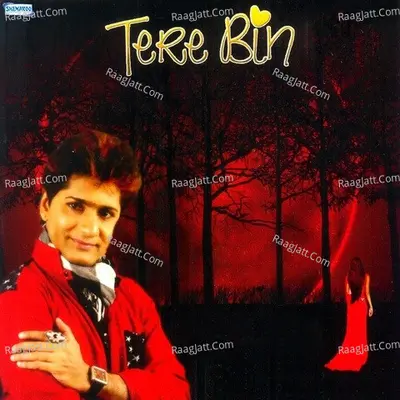 Tere Bin Poster