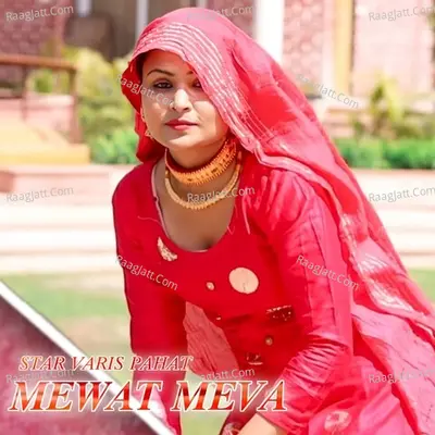 Mewat Meva Cover