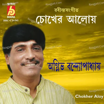 Chokher Aloy Poster