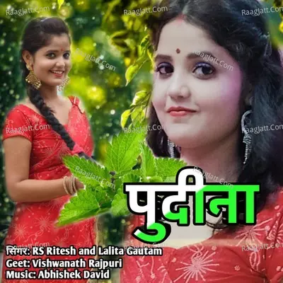 Pudina Cover