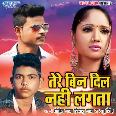 Tere Bin Dil Nahi Lagta Poster