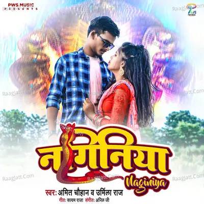 Aryanshi Nibhatra Image