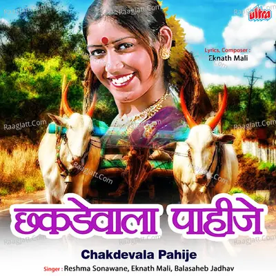 Chakdevala Pahije Poster