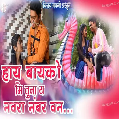 Haye Baykomi Tunaye Navra Number One (feat.Akshay koli,Naina Chitte) Cover
