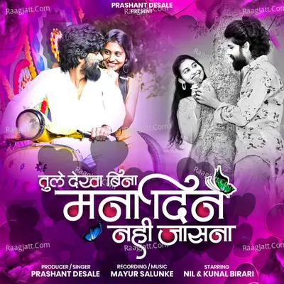 TULE DEKHA BINA MANA DIN NHI JASANA Cover