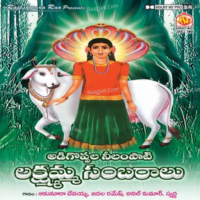 Adhigoppala Nilampati Lakshmamma Sambaralu - M.Srinivas