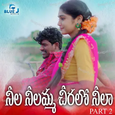Neela Neelamma Chiralo Neela, Pt. 2 Cover