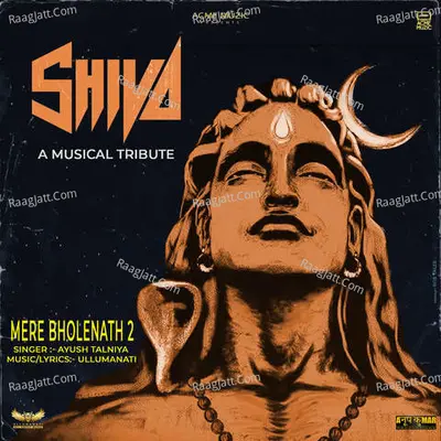 Mere Bholenath 2 Cover