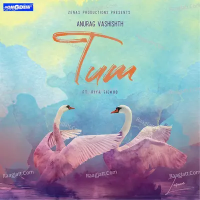 Tum 2.0 Cover