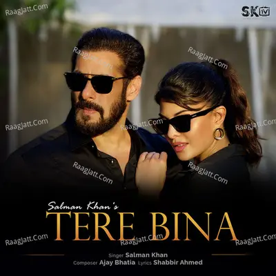 Tere Bina Cover