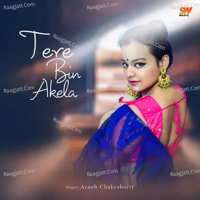 Tere Bin Akela Cover