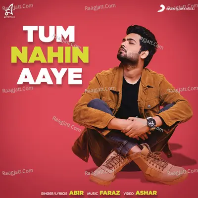 Tum Nahin Aaye Cover