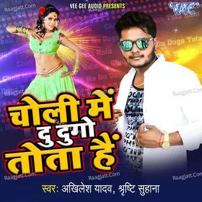 Choli Me Du Dugo Tota Hain Poster