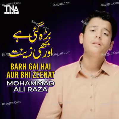 Mohammad Ali Raza