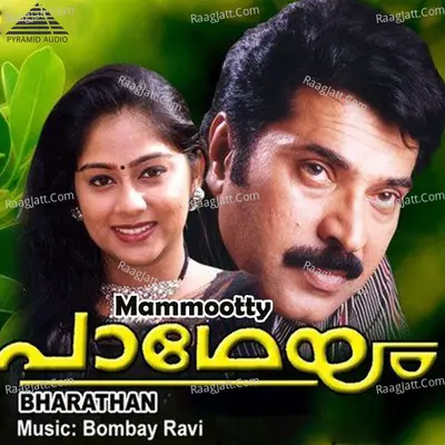 Paadheyam (Original Motion Picture Soundtrack) - ravi bombay