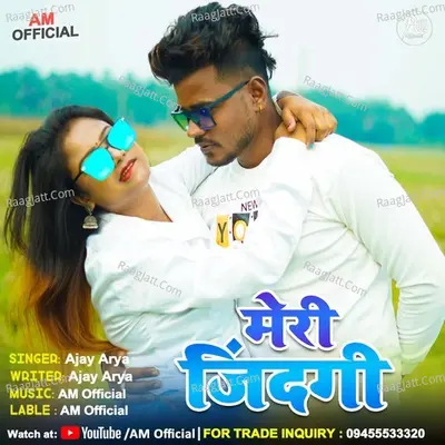 Meri Zindagi Cover